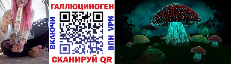 цены   Барыш  гидра tor  Галлюциногенные грибы Psilocybe 